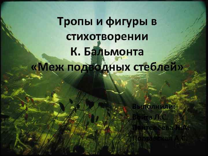 Тропы и фигуры в стихотворении К. Бальмонта «Меж подводных стеблей» Выполнили: Войта Л. С.