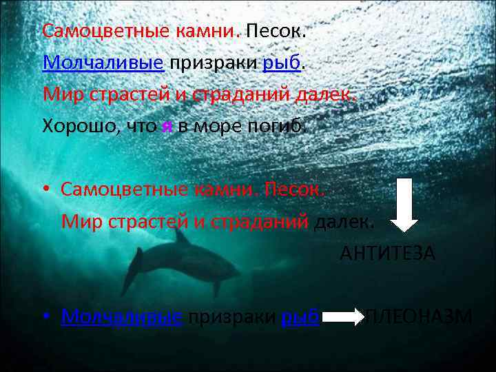 Самоцветные камни. Песок. Молчаливые призраки рыб. Мир страстей и страданий далек. Хорошо, что я