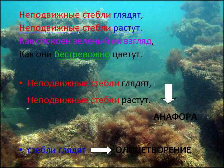 Неподвижные стебли глядят, Неподвижные стебли растут. Как спокоен зеленый их взгляд, Как они бестревожно