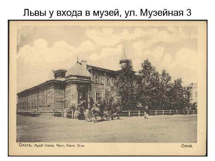 Львы у входа в музей, ул. Музейная 3 