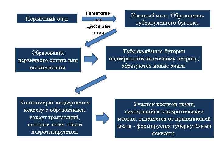 Первичный очаг Гематоген ная диссемен ация Образование первичного остита или остеомиелита Конгломерат подвергается некрозу