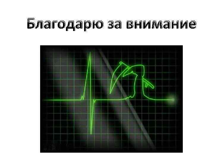 Благодарю за внимание 