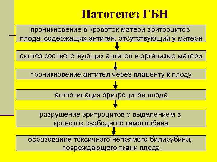 Патогенез ГБН проникновение в кровоток матери эритроцитов плода, содержащих антиген, отсутствующий у матери синтез