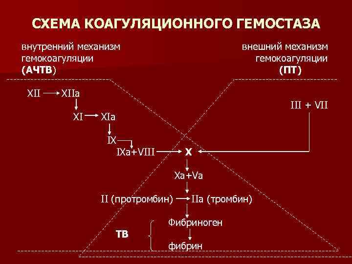 СХЕМА КОАГУЛЯЦИОННОГО ГЕМОСТАЗА внутренний механизм гемокоагуляции (АЧТВ) XII внешний механизм гемокоагуляции (ПТ) XIIа XI