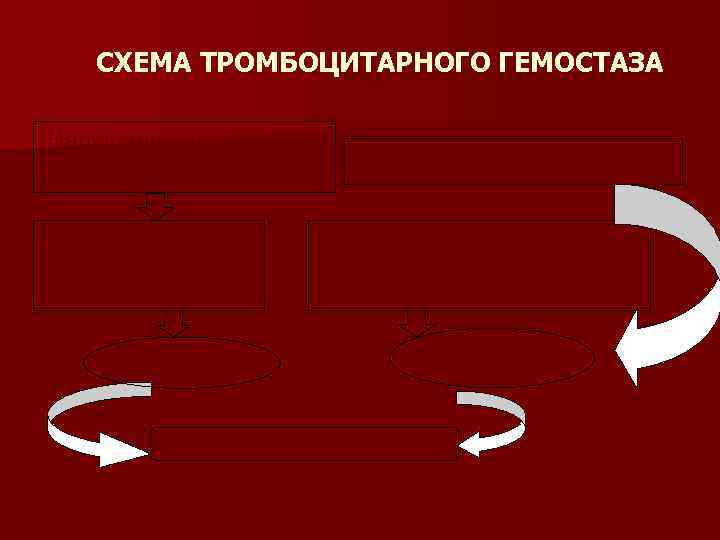 СХЕМА ТРОМБОЦИТАРНОГО ГЕМОСТАЗА Нарушение целостности кровеносного сосуда Контакт тромбоцитов с коллагеном эндотелия Повреждение тромбоцитов