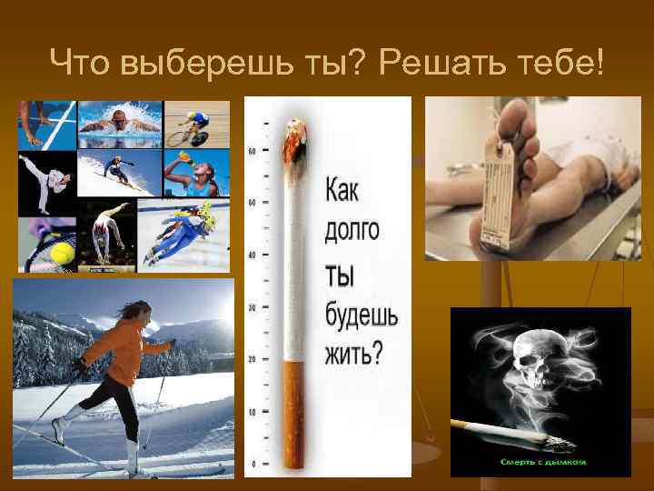 Что выберешь ты? Решать тебе! 