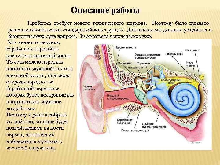 Описание работы Проблема требует нового технического подхода. Поэтому было принято решение отказаться от стандартной