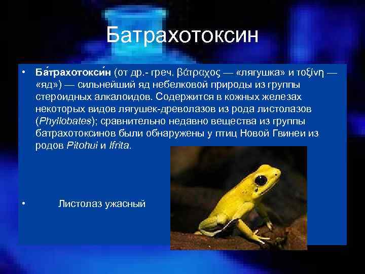 Батрахотоксин • Ба трахотокси н (от др. греч. βάτραχος — «лягушка» и τοξίνη —