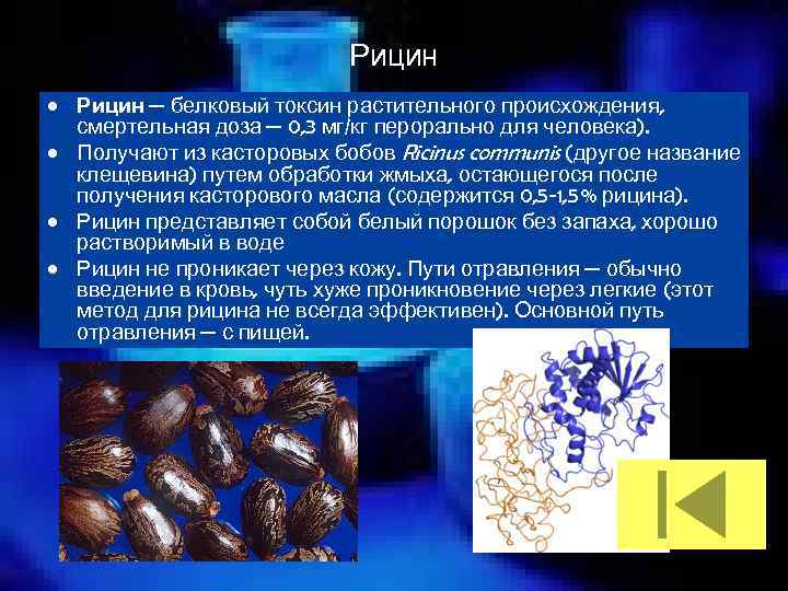 Рицин • Рицин — белковый токсин растительного происхождения, смертельная доза — 0, 3 мг/кг