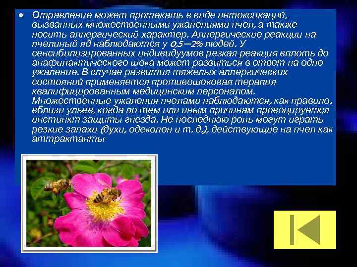  • Отравление может протекать в виде интоксикаций, вызванных множественными ужалениями пчел, а также