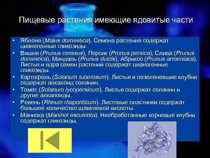 Пищевые растения имеющие ядовитые части • Яблоня (Malus domestica). Семена растения содержат цианогенные гликозиды.