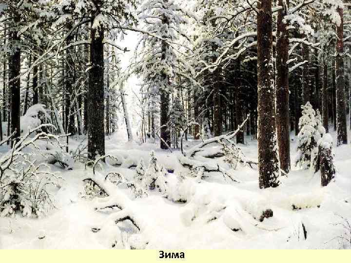 Зима 