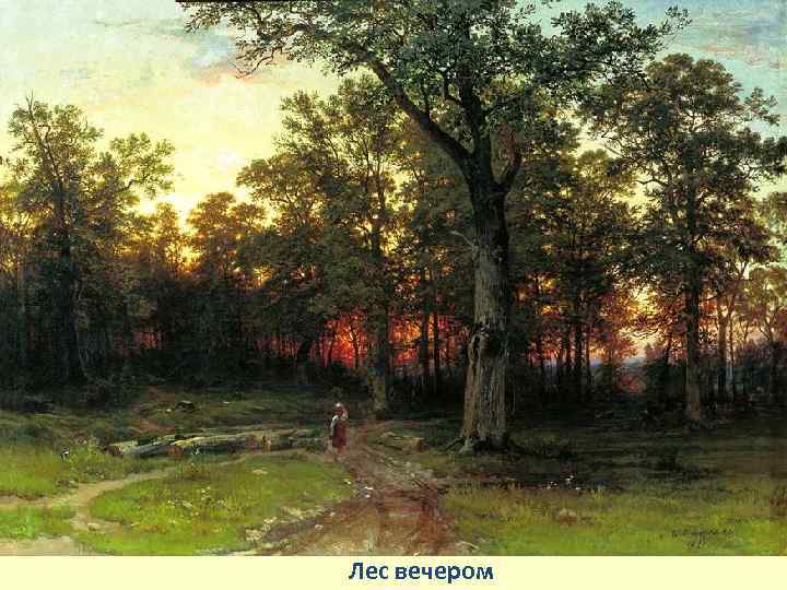 Лес вечером 