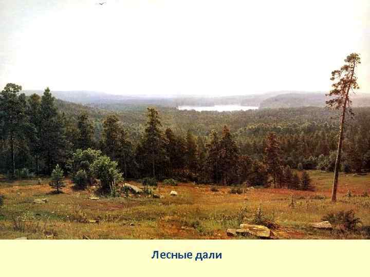 Лесные дали 