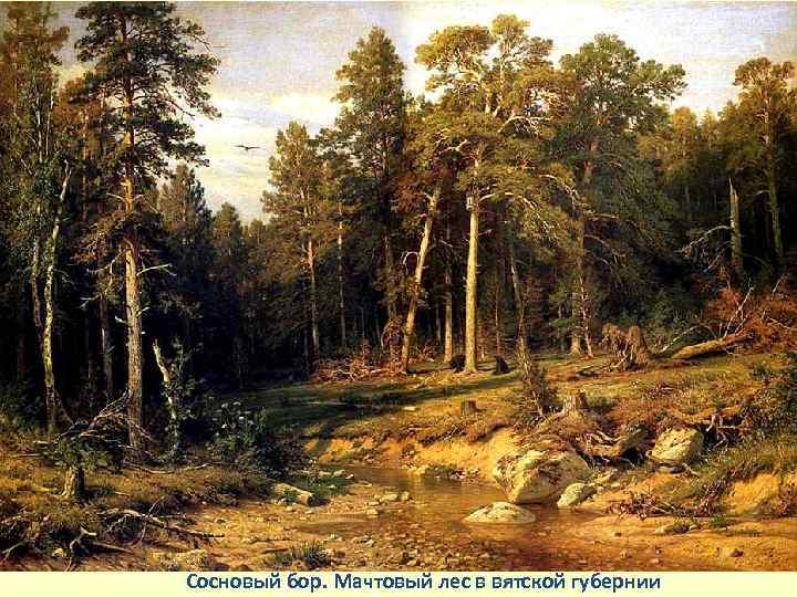 Сосновый бор. Мачтовый лес в вятской губернии 