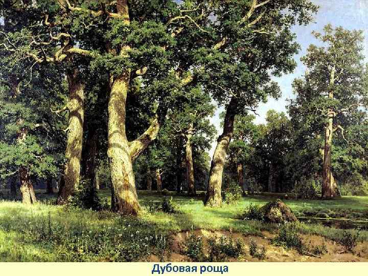 Дубовая роща 