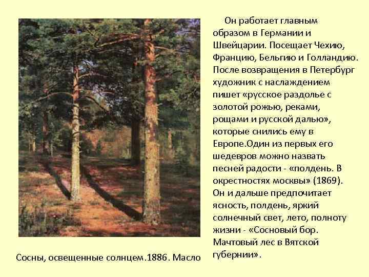 Сосны, освещенные солнцем. 1886. Масло Он работает главным образом в Германии и Швейцарии. Посещает