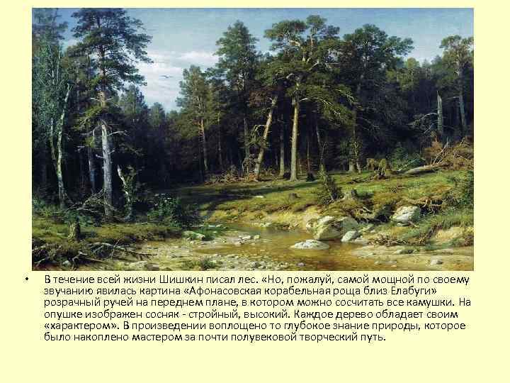 • В течение всей жизни Шишкин писал лес. «Но, пожалуй, самой мощной по