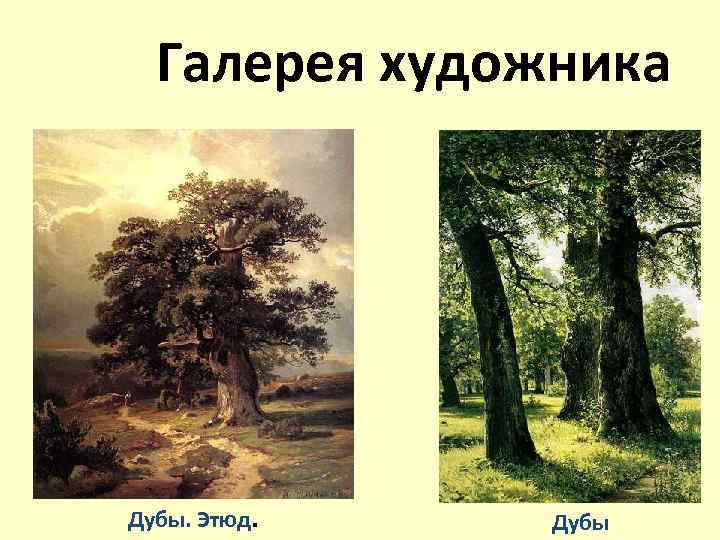 Галерея художника Дубы. Этюд. Дубы 