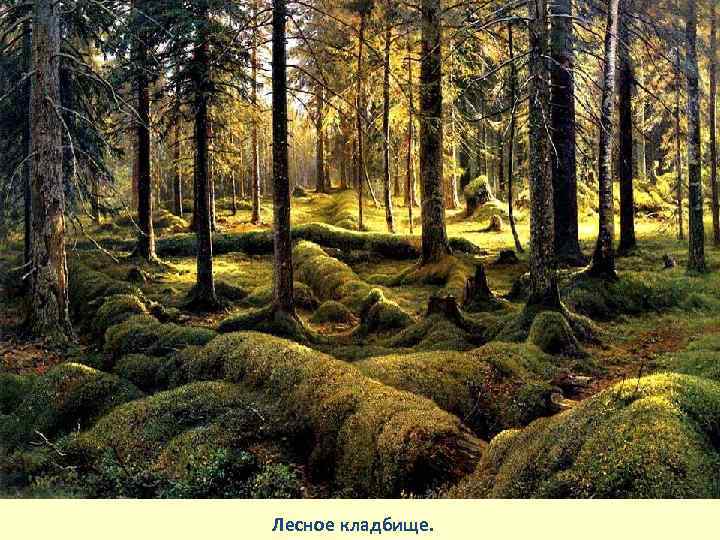 Лесное кладбище. 