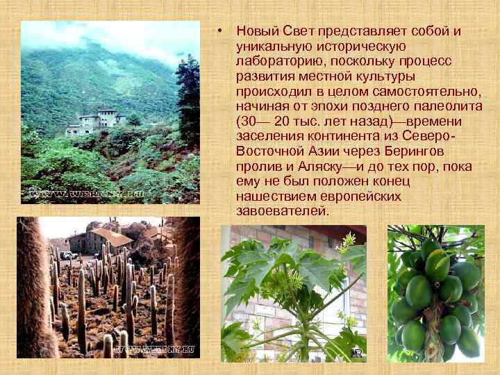  • Новый Свет представляет собой и уникальную историческую лабораторию, поскольку процесс развития местной