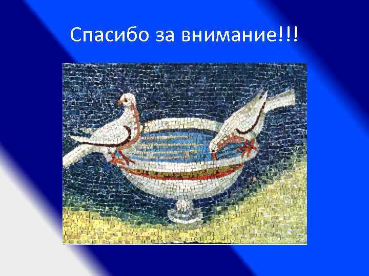 Спасибо за внимание!!! 