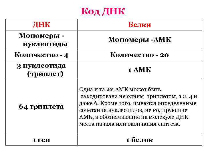 Код ДНК Белки Мономеры нуклеотиды Мономеры -АМК Количество - 4 Количество - 20 3