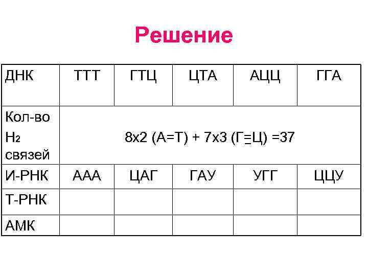 Решение ДНК Кол-во Н 2 связей И-РНК Т-РНК АМК ТТТ ГТЦ ЦТА АЦЦ ГГА