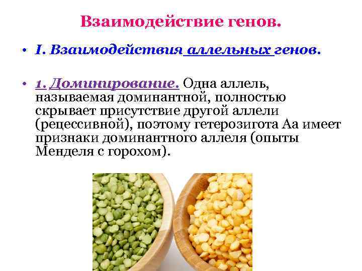 Взаимодействие генов. • I. Взаимодействия аллельных генов. • 1. Доминирование. Одна аллель, называемая доминантной,