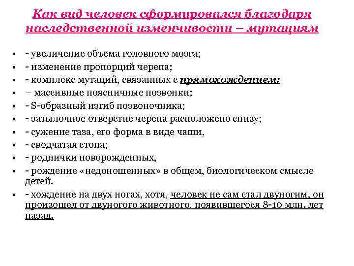 Как вид человек сформировался благодаря наследственной изменчивости – мутациям • • • - увеличение