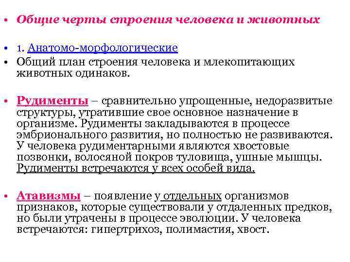  • Общие черты строения человека и животных • 1. Анатомо-морфологические • Общий план
