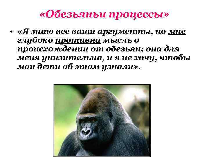  «Обезьяньи процессы» • «Я знаю все ваши аргументы, но мне глубоко противна мысль