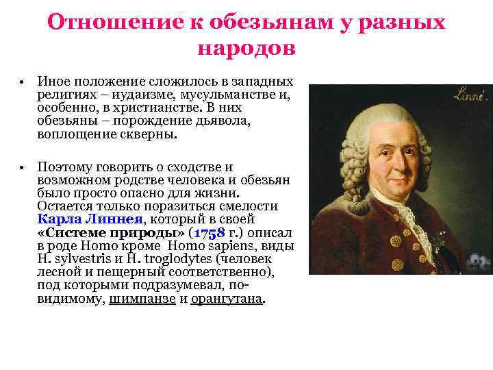 Отношение к обезьянам у разных народов • Иное положение сложилось в западных религиях –