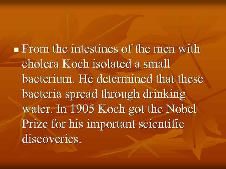 n From the intestines of the men with cholera Koch isolated a small bacterium.