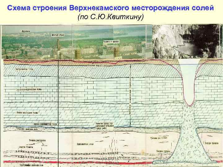 Схема строения Верхнекамского месторождения солей (по С. Ю. Квиткину) 