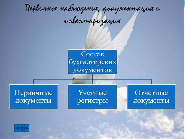 Первичное наблюдение, документация и инвентаризация Состав бухгалтерских документов Первичные документы Учетные регистры Отчетные документы