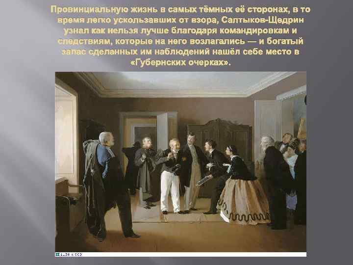 Провинциальную жизнь в самых тёмных её сторонах, в то время легко ускользавших от взора,