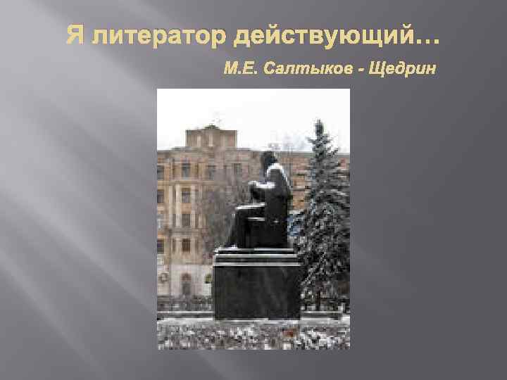 Я литератор действующий… М. Е. Салтыков - Щедрин 