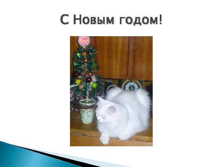 С Новым годом! 