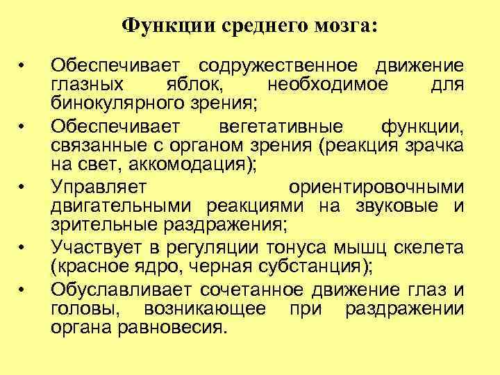 Функции среднего мозга: • • • Обеспечивает содружественное движение глазных яблок, необходимое для бинокулярного