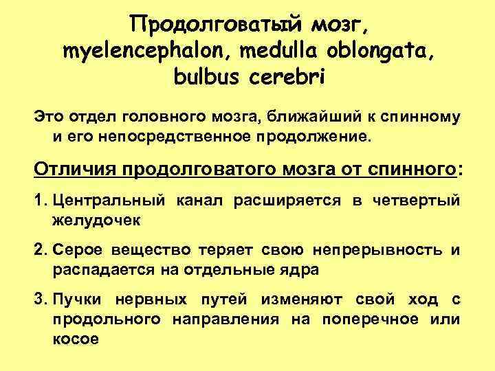 Продолговатый мозг, myelencephalon, medulla oblongata, bulbus cerebri Это отдел головного мозга, ближайший к спинному