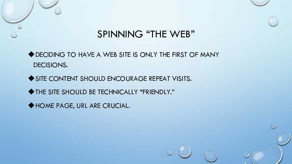 SPINNING “THE WEB” u. DECIDING TO HAVE A WEB SITE IS ONLY THE FIRST