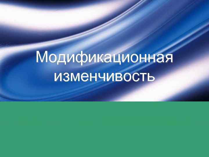 Модификационная изменчивость 