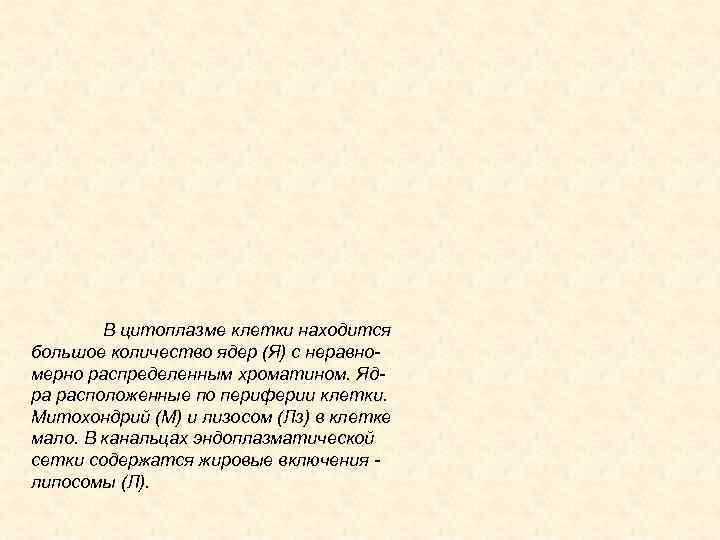 В цитоплазме клетки находится большое количество ядер (Я) с неравномерно распределенным хроматином. Ядра расположенные