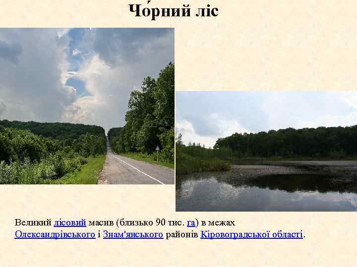 Чо рний ліс Великий лісовий масив (близько 90 тис. га) в межах Олександрівського і