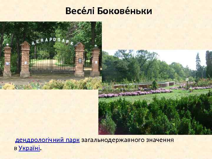 Весе лі Бокове ньки дендрологічний парк загальнодержавного значення в Україні. 