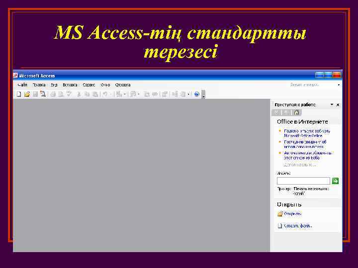 MS Access-тің стандартты терезесі 
