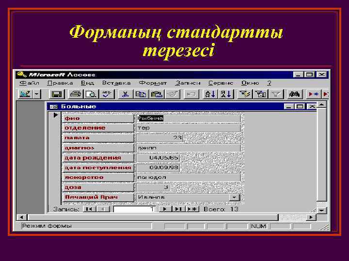 Форманың стандартты терезесі 