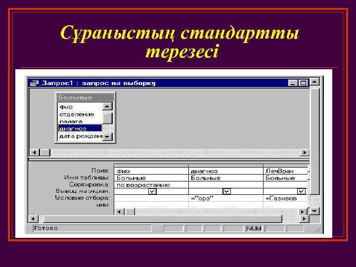 Сұраныстың стандартты терезесі 