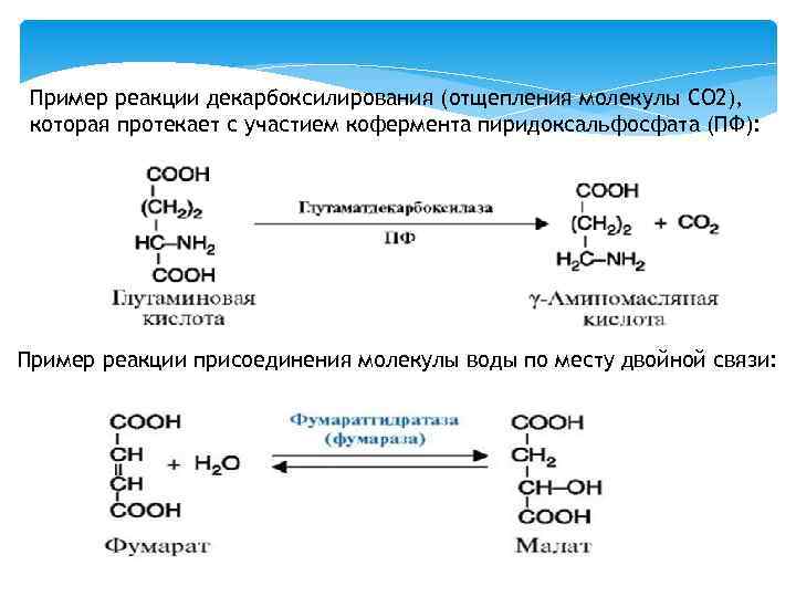 Реакция молекулярный вода. Механизм реакций с участием пиридоксальфосфата.. Ферментативные реакции примеры. Пиридоксальфосфат участие в реакциях. Ферментативный катализ примеры реакций.